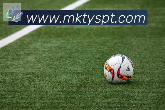 mksports平台生态图